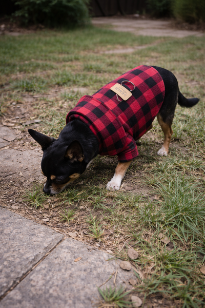 The Classic Red Plaid Sweater
