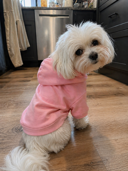 PINK HOODIE