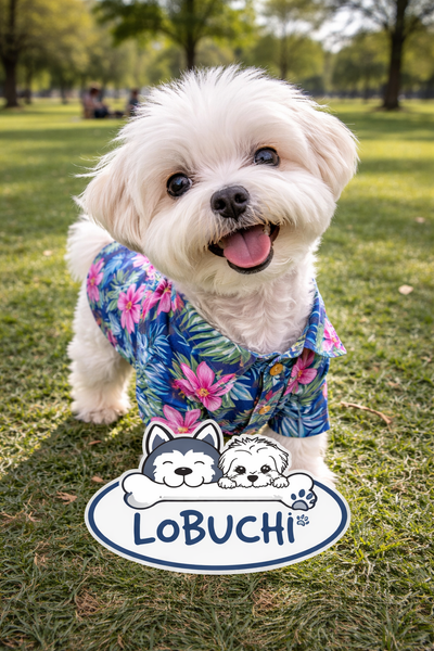 Hawaiian short sleeve shirt