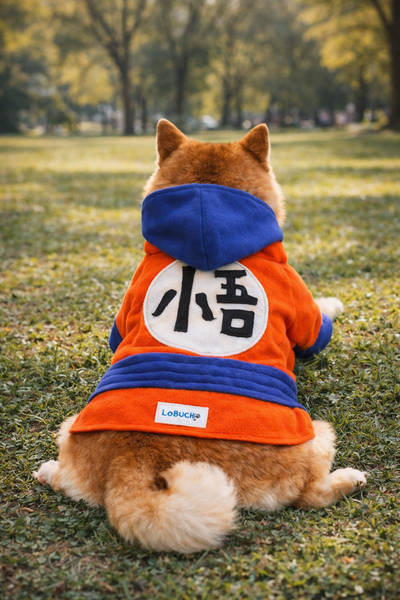 DRAGON BALL Z GOKU THEMED HOODIE