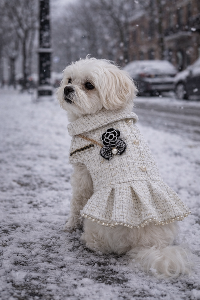 Lobuchi white Tweed Dress
