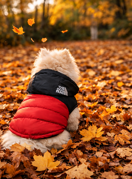The Adventure Puffer Jacket ( Red edition)