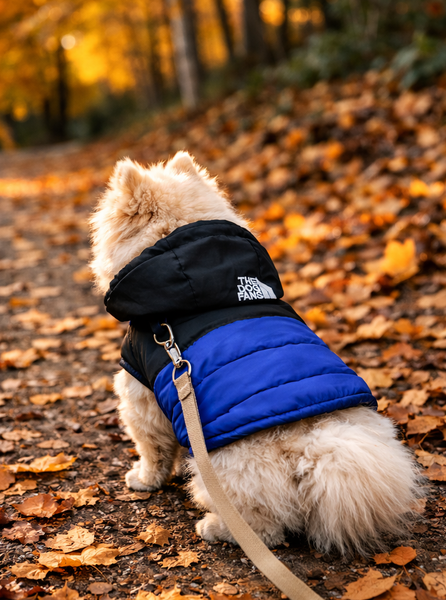 The Adventure Puffer Jacket ( Blue edition)