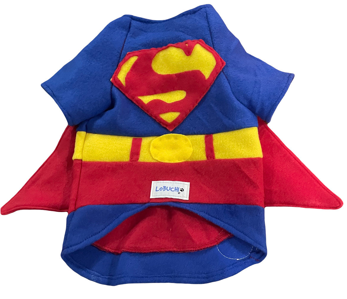 Superman-Themed Hoodie