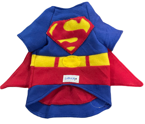 Superman-Themed Hoodie