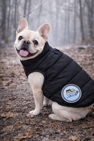 The black Puffer Hoodie Vest